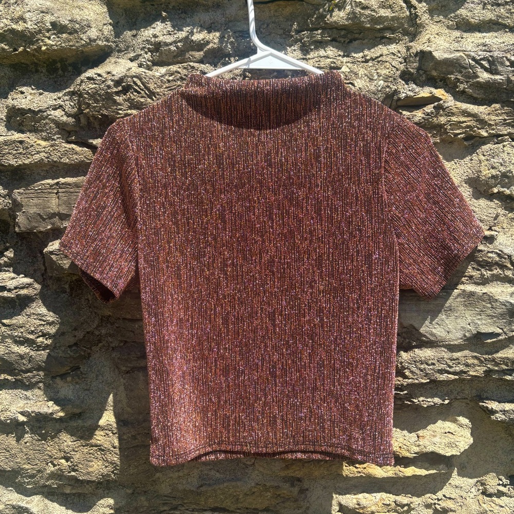 Metallic Short Sleeve Top size large